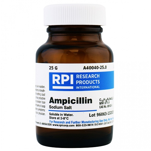 Ampicilline